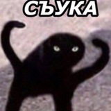 Telegram profile photo for Какая-то группа какого-то анонима