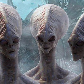 Telegram profile photo for 🗿👽تئوری توطئه👽🗿