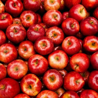 Telegram profile photo for کانال سیب مریخ 🍎