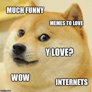 Telegram profile photo for Doge Videos