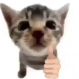 Telegram profile photo for KRINCHAГлоты