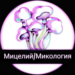Telegram profile photo for Микология 2.0