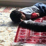 Telegram profile photo for إِيَاب