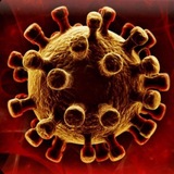 Telegram profile photo for XANTAVIRUS 2026