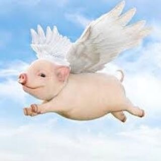 Telegram profile photo for Каваии аниме Пигги-сенсей и нингеннокамисама