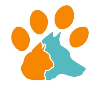 Telegram profile photo for ВЕТКЛИНИКА ДОКТОР КУСЬ ВОРОНЕЖ