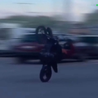 Telegram profile photo for wheelievil