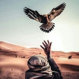 Telegram profile photo for شيلات وقصيد ⸙🎵