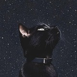 Telegram profile photo for 𝖣𝖠𝖱𝖪𝖭𝖤𝖲𝖲