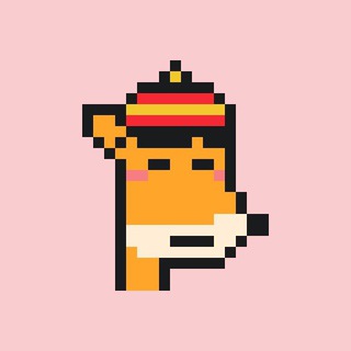 Telegram profile photo for SHIBA INU CHINESE GROUP UPDATES 柴犬币官方重要消息