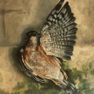 Telegram profile photo for The Requiem Of Sparrow | مرثیه گنجشک