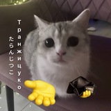 Telegram profile photo for Транжицуко (•͈⌔•͈⑅)