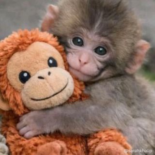 Telegram profile photo for Списки вз от бибизяны