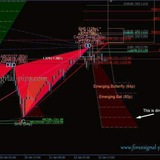 Telegram profile photo for Forex_Signal_Fx_Signals_Free