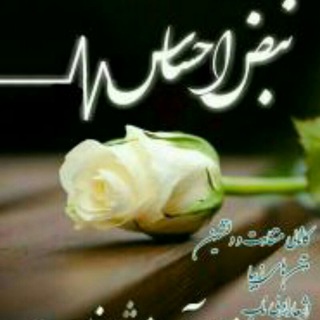 Telegram profile photo for ❤نبض احساس❤
