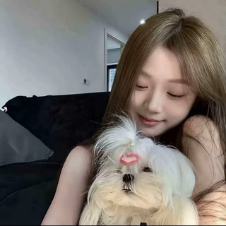 Telegram profile photo for 若依的小窝