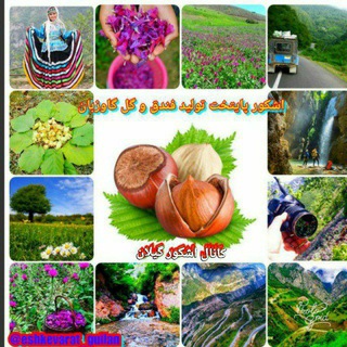 Telegram profile photo for 🌴🌹کانال ️اشکورگیلان🌹🌴