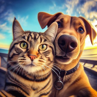 Telegram profile photo for Забавные животные