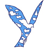 Telegram profile photo for netx.tv