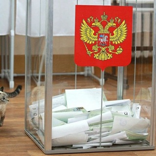 Telegram profile photo for PRO выборы