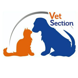 Telegram profile photo for Vet_Section