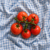 Telegram profile photo for گوجه گیلاسی
