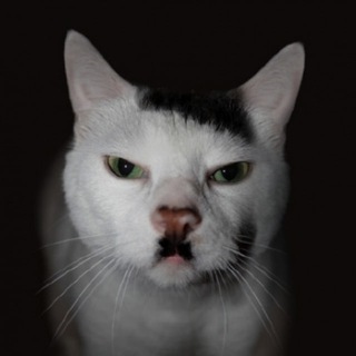 Telegram profile photo for Антитеза