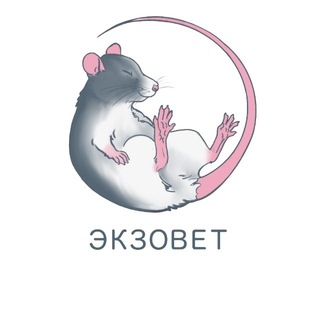 Telegram profile photo for ExoVet_irk