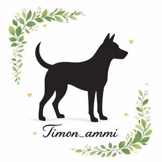 Telegram profile photo for 🍀Timon_ammi🍀|амуниция ⚡