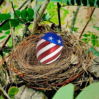 Telegram group profile photo for Patriot Biznest
