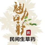 Telegram profile photo for 魅力四射的民间生草药