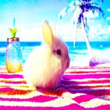 Telegram profile photo for ⇄ VП Список