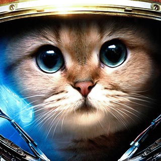 Telegram profile photo for Подслушано в Коломне