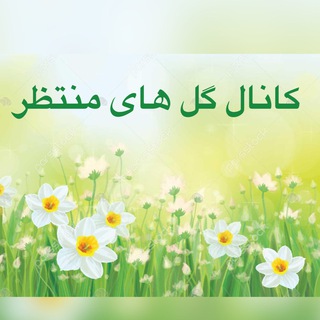 Telegram profile photo for کانال گل های منتظر ادمونتون