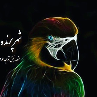 Telegram profile photo for شـهــر پـرنــده (ایمان)