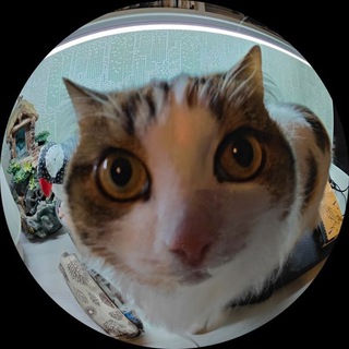Telegram profile photo for дущка на каждый день