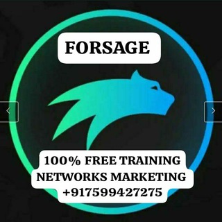 Telegram profile photo for DIGITAL INDIA FORSAGE NETWORKS MARKETING