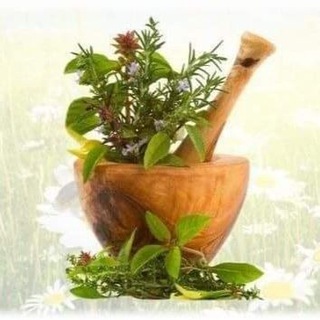 Telegram profile photo for Canal Milagre Da Floresta