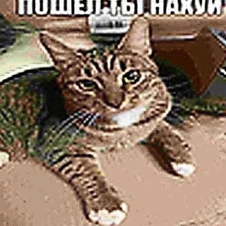 Telegram profile photo for El Meme Real
