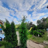 Telegram profile photo for Дача без прикрас в Подмосковье