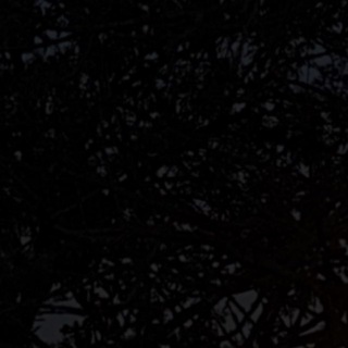 Telegram profile photo for unknown