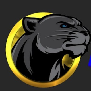 Telegram group profile photo for PUMA33 OFFICIAL