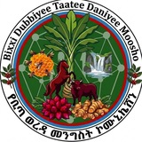Telegram profile photo for Bita Woreda Communication