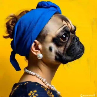 Telegram profile photo for РазвлекИИсь