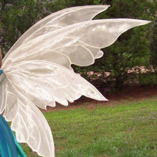 Telegram profile photo for fairies mbti