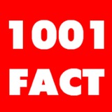 Telegram profile photo for 1001 факт