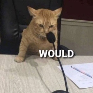 Telegram profile photo for Would Calls
