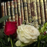 Telegram profile photo for مستࢪاح القلوب 🫀📚