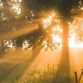 Telegram profile photo for اسْمِي رَضْوى