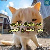 Telegram profile photo for امتحن نفسك